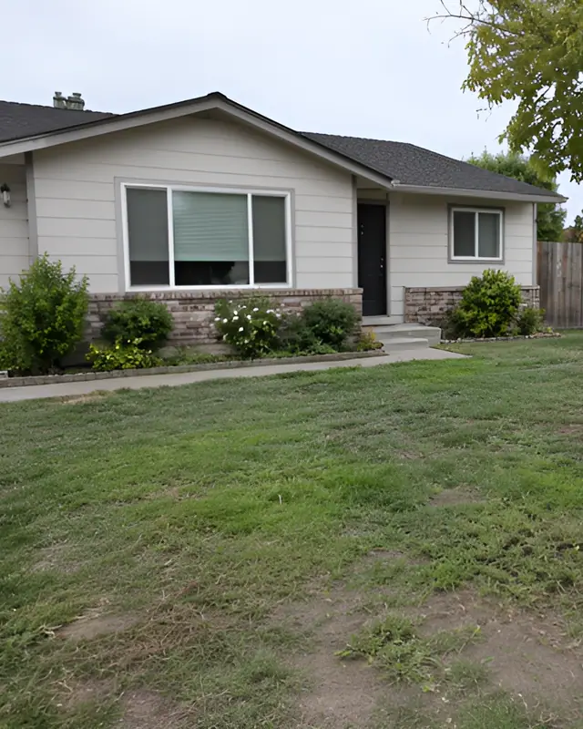 Declutter front yard — Decluttering AI photo