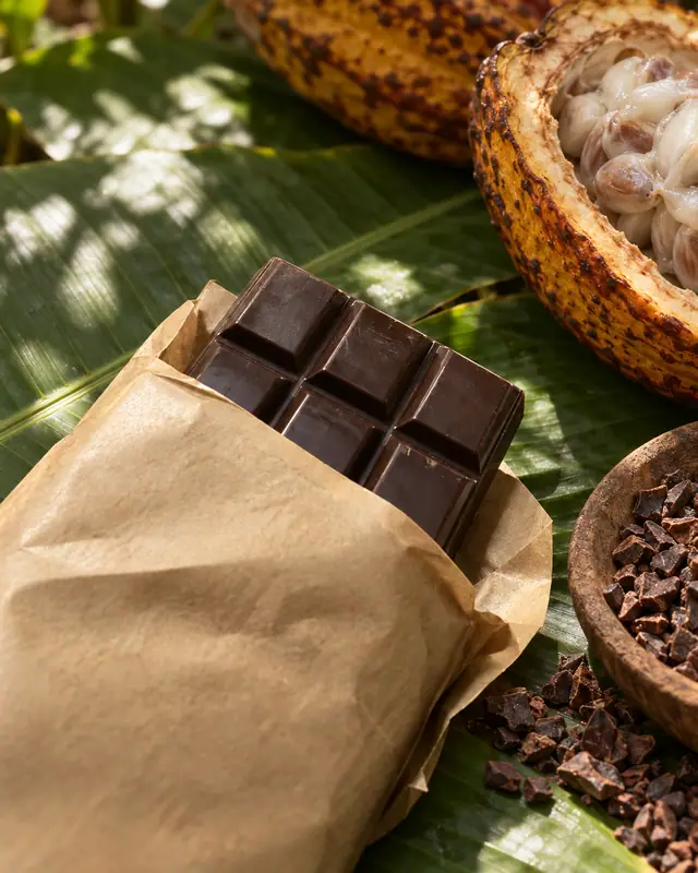 Cocoa pod origin — Food & drink AI photo